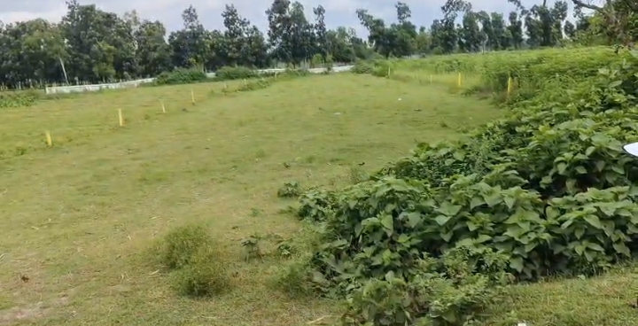ЁЯПб BALURGHAT тАУ SRINAGAR ROAD PURNIA рдореЗрдВ 17 рдХрдЯреНрдард╛ LAND рдмрд┐рдХреНрд░реА рдХреЗ рд▓рд┐рдП PN 146 - Image 4