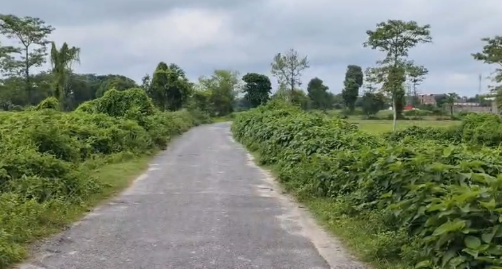 ЁЯПб BALURGHAT тАУ SRINAGAR ROAD PURNIA рдореЗрдВ 17 рдХрдЯреНрдард╛ LAND рдмрд┐рдХреНрд░реА рдХреЗ рд▓рд┐рдП PN 146 - Image 6