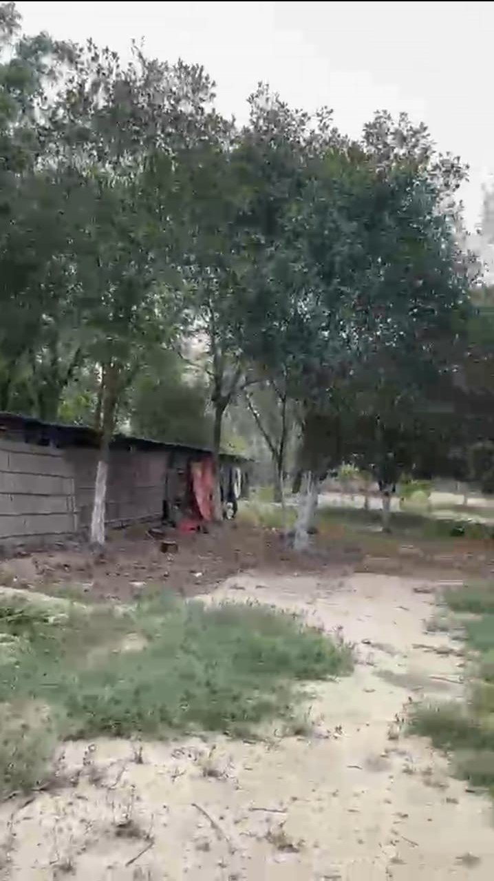 ЁЯПб KASBA рдХреЗ рдкрд╛рд╕ 60 рдХрдЯреНрдард╛ FARM HOUSE рд╕рд╣рд┐рдд LAND рдмрд┐рдХреНрд░реА рдХреЗ рд▓рд┐рдП PN 147 - Image 6
