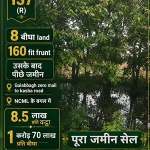 🏡 GULAB BAGH – ZERO MILE TO KASBA ROAD में 8 बीघा LAND बिक्री के लिए PN 137
