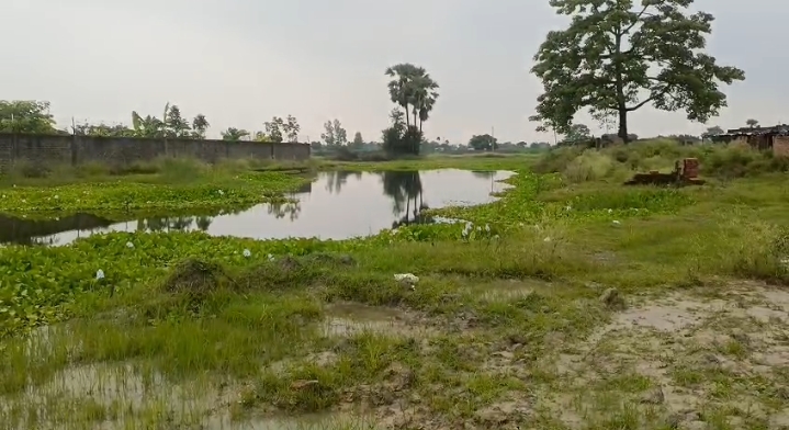 🏡 PURNIA CITY TO KASBA ROAD में 2 बीघा LAND बिक्री के लिए PN 152 - Image 3