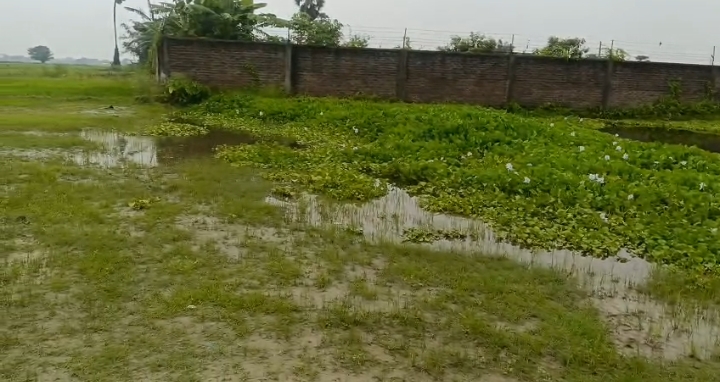 🏡 PURNIA CITY TO KASBA ROAD में 2 बीघा LAND बिक्री के लिए PN 152 - Image 2