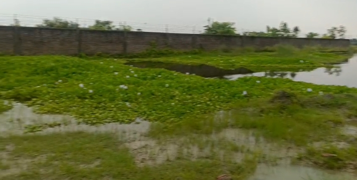 🏡 PURNIA CITY TO KASBA ROAD में 2 बीघा LAND बिक्री के लिए PN 152 - Image 4