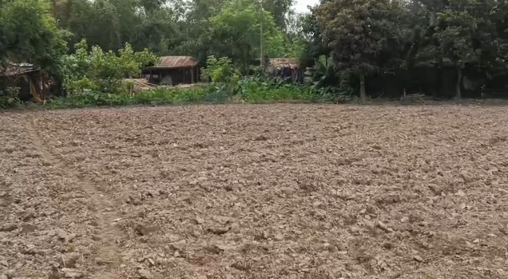 🏡 KASBA TO FATEHPUR NCML ROAD में 4.5 बीघा LAND बिक्री के लिए PN 154 - Image 6
