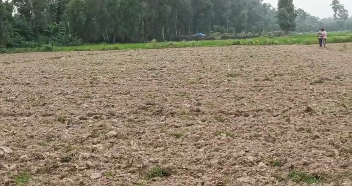 🏡 KASBA TO FATEHPUR NCML ROAD में 4.5 बीघा LAND बिक्री के लिए PN 154 - Image 7