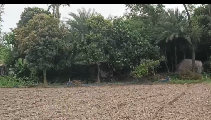 🏡 KASBA TO FATEHPUR NCML ROAD में 4.5 बीघा LAND बिक्री के लिए PN 154 - Image 3