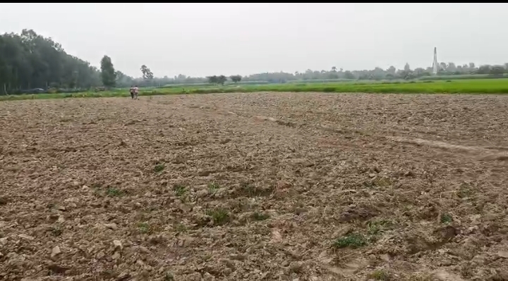 🏡 KASBA TO FATEHPUR NCML ROAD में 4.5 बीघा LAND बिक्री के लिए PN 154 - Image 4