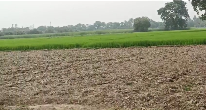 🏡 KASBA TO FATEHPUR NCML ROAD में 4.5 बीघा LAND बिक्री के लिए PN 154 - Image 2