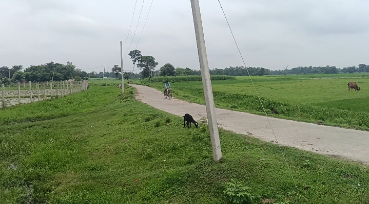 🌾 SHRI NAGAR TO SINGHIYA से 2 KM पर 20 बीघा LAND बिक्री के लिए PN 155 - Image 4