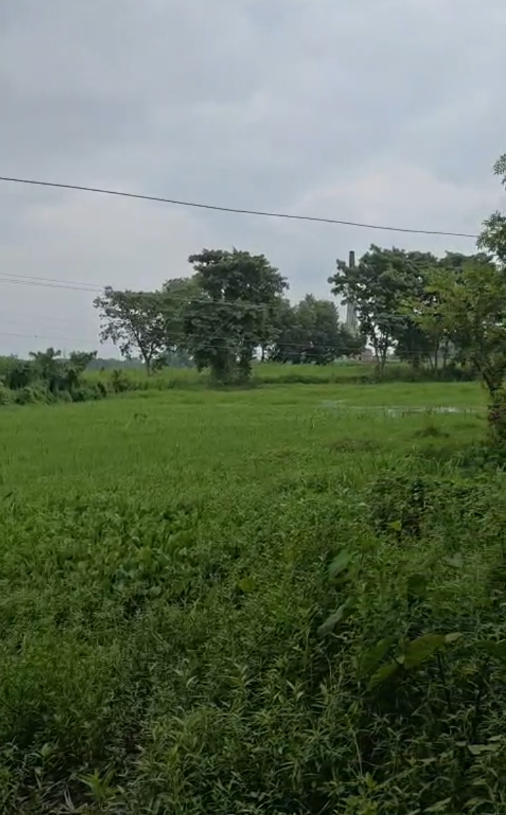 🏡 DAGRUA से 2 KM पर 25 बीघा LAND बिक्री के लिए PN 149 - Image 8