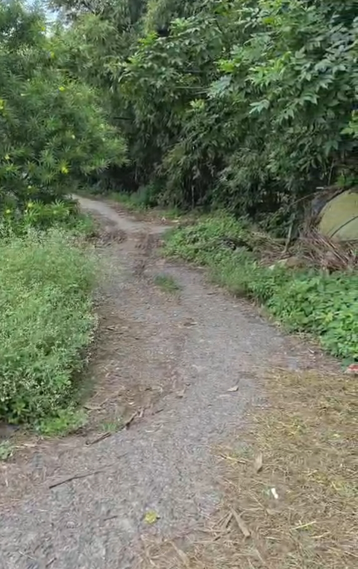 🏡 DAGRUA से 2 KM पर 25 बीघा LAND बिक्री के लिए PN 149 - Image 6