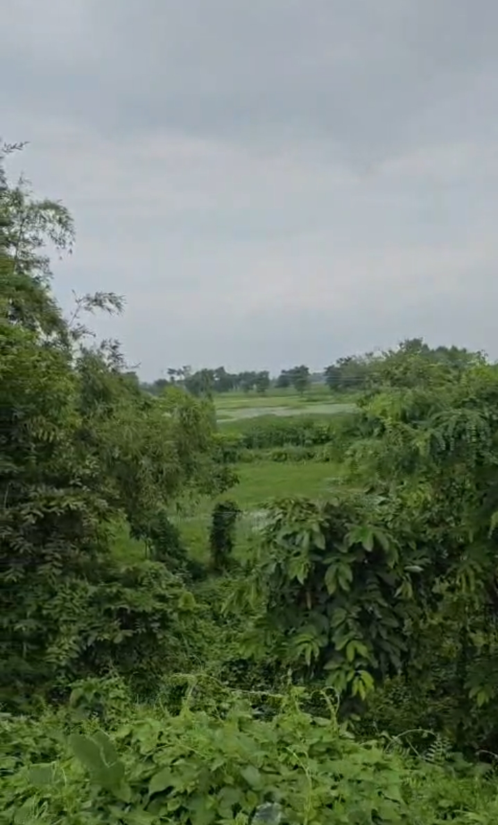 🏡 DAGRUA से 2 KM पर 25 बीघा LAND बिक्री के लिए PN 149 - Image 5