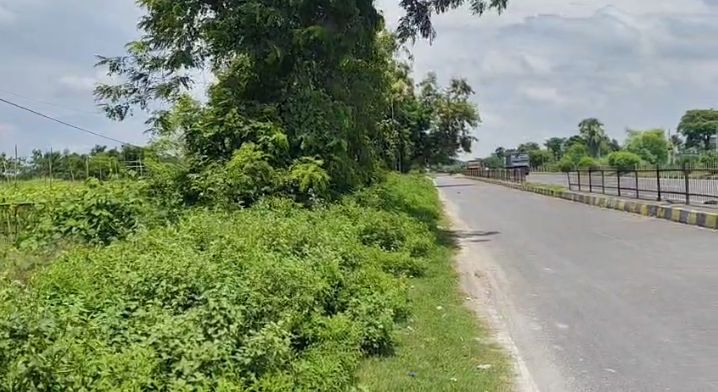 🏡 ARARIA HIGHWAY – JALALGARH में 13 बीघा LAND बिक्री के लिए PN 150 - Image 3