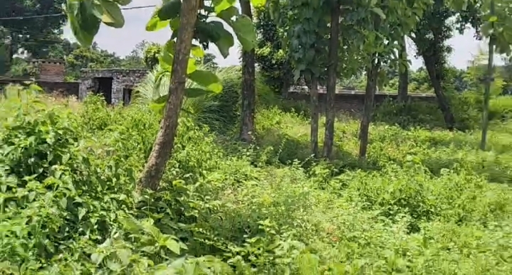 🏡 ARARIA HIGHWAY – JALALGARH में 13 बीघा LAND बिक्री के लिए PN 150 - Image 2