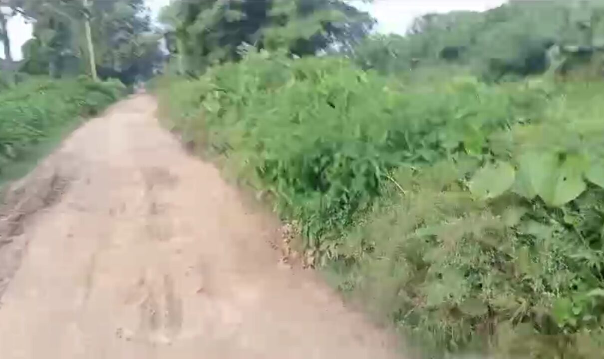 🏡 BELAURI CHOWK से 2 KM पर 2 बीघा LAND बिक्री के लिए PN 151 - Image 4