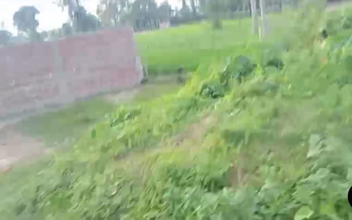 🏡 BELAURI CHOWK से 2 KM पर 2 बीघा LAND बिक्री के लिए PN 151 - Image 2