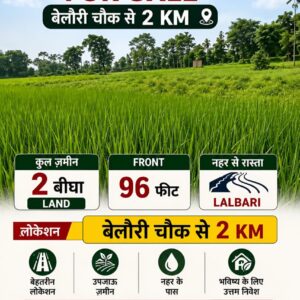 🏡 BELAURI CHOWK से 2 KM पर 2 बीघा LAND बिक्री के लिए PN 151