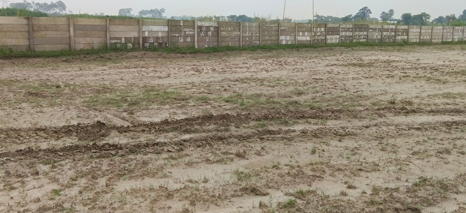 🏡 36,40 में 2.5 बीघा AAWASIY PLOT बिक्री के लिए PN 158 - Image 4