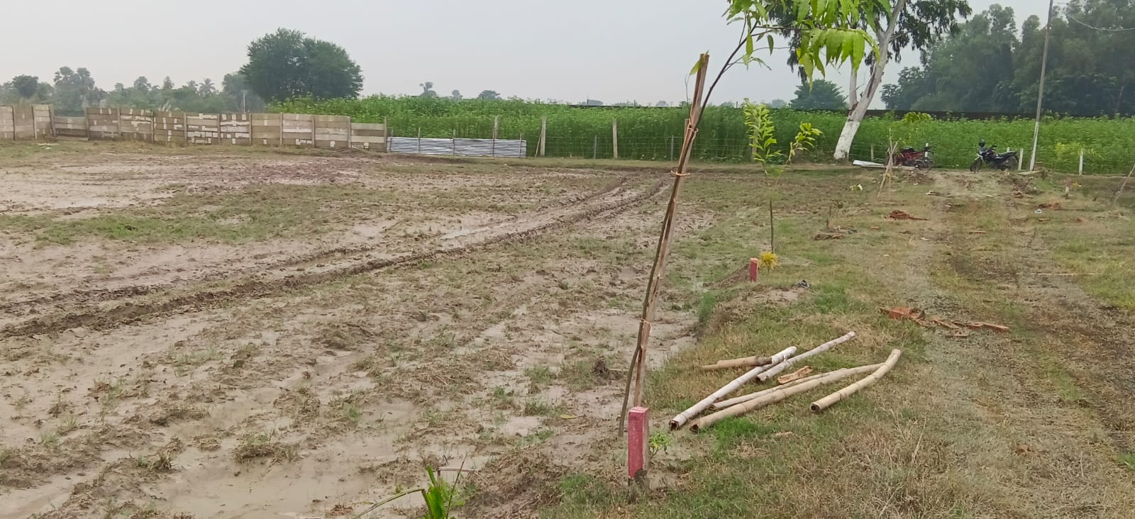🏡 36,40 में 2.5 बीघा AAWASIY PLOT बिक्री के लिए PN 158 - Image 3