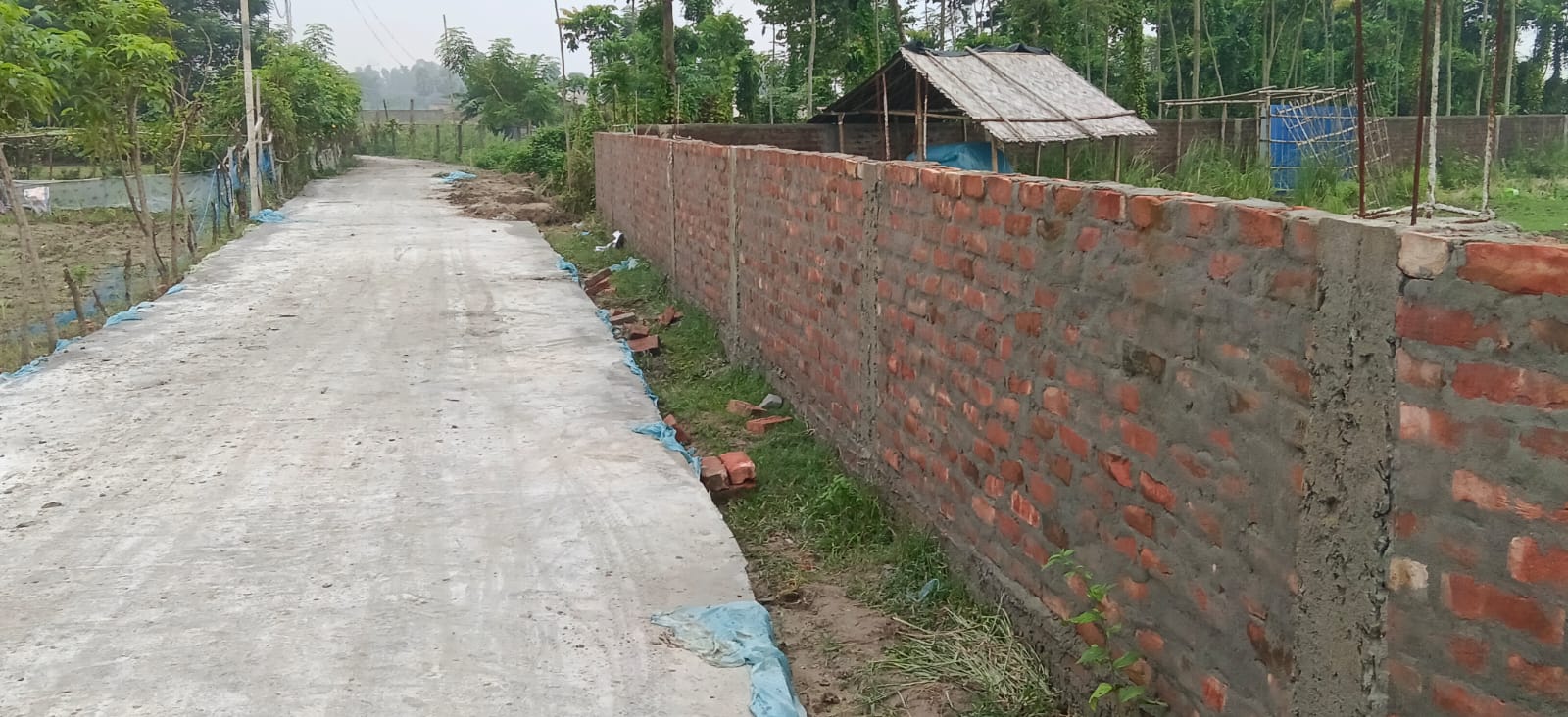 🏡 36,40 में 6.5 बीघा PLOT बिक्री के लिए PN 159 - Image 10