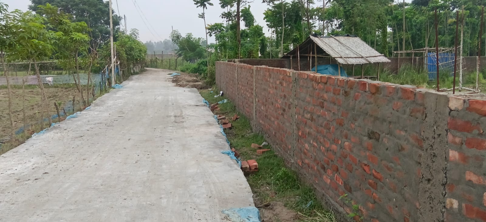 🏡 36,40 में 6.5 बीघा PLOT बिक्री के लिए PN 159 - Image 11
