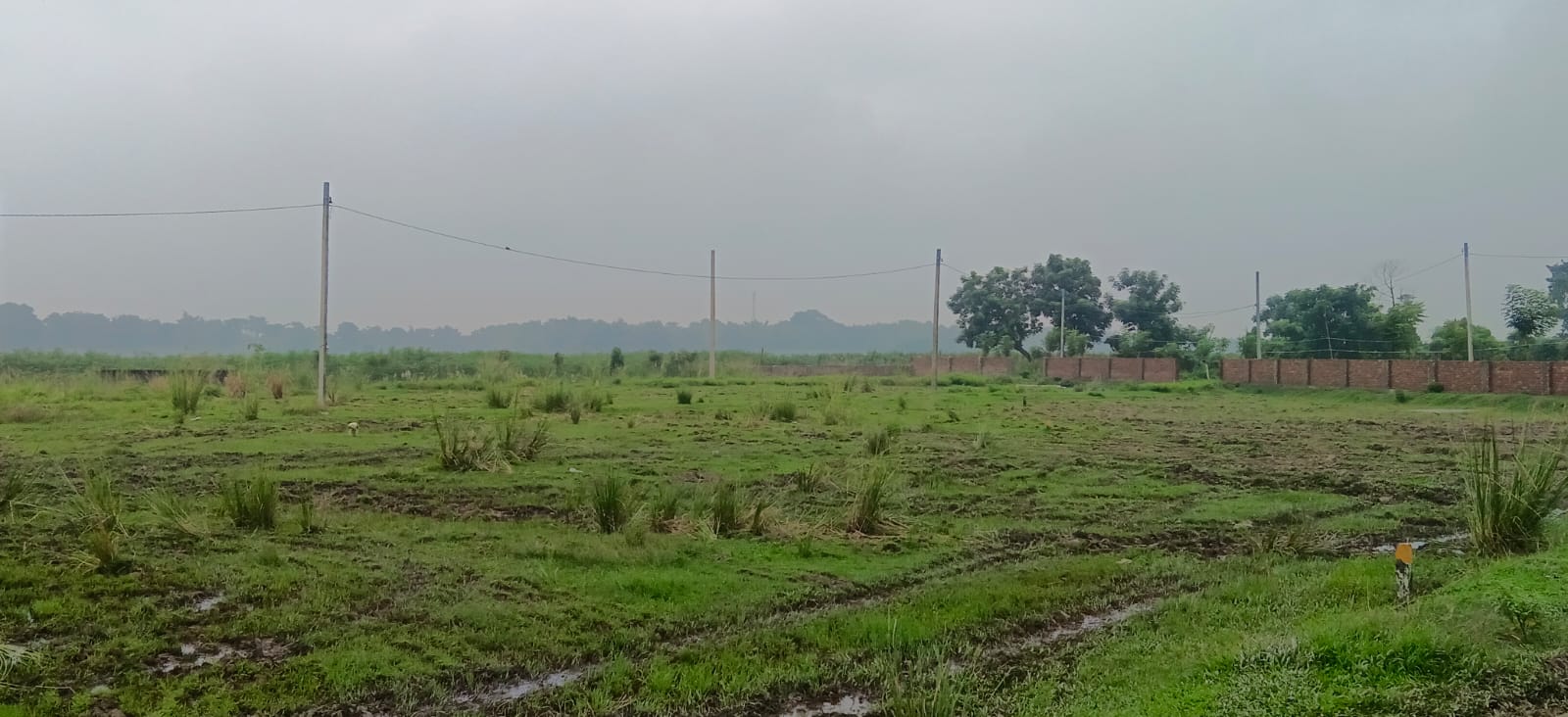 🏡 36,40 में 6.5 बीघा PLOT बिक्री के लिए PN 159 - Image 8