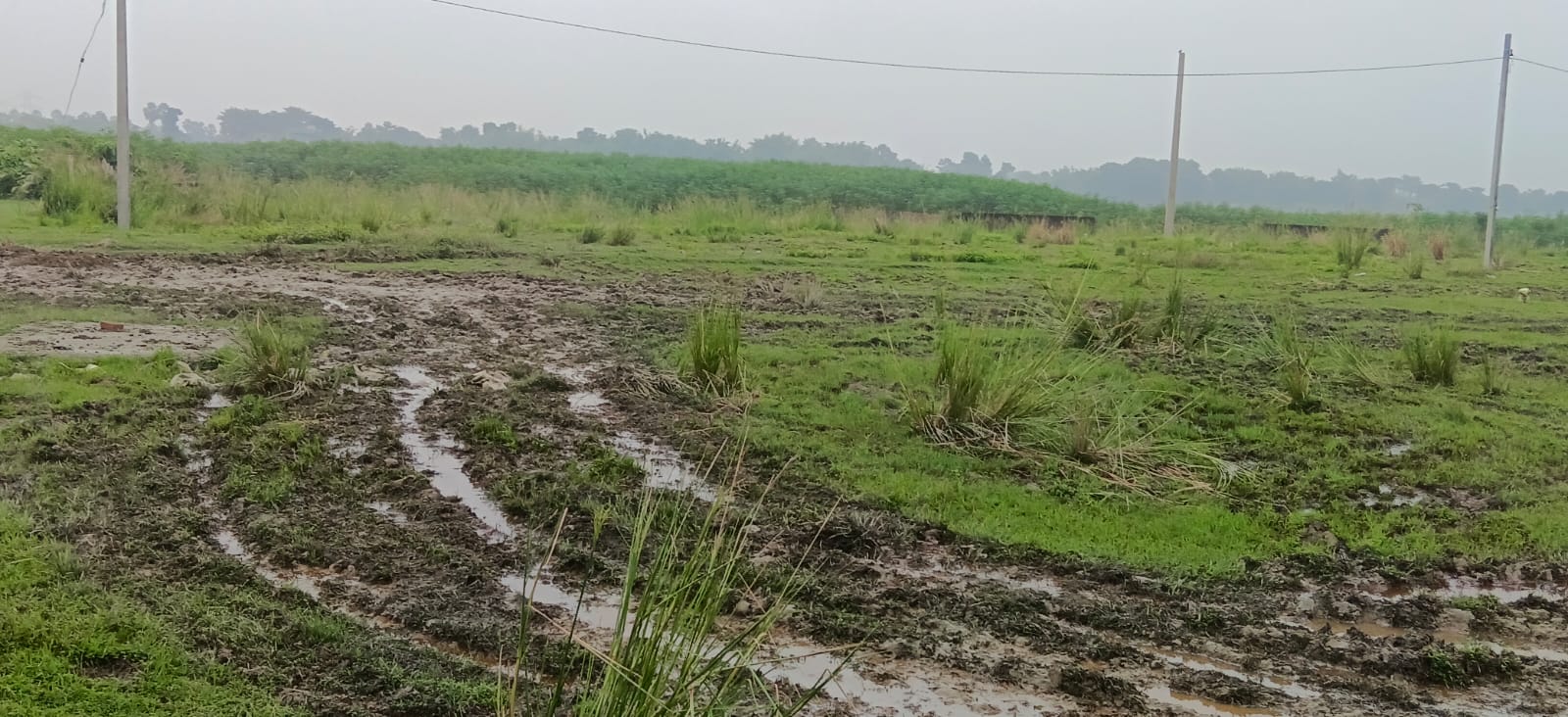🏡 36,40 में 6.5 बीघा PLOT बिक्री के लिए PN 159 - Image 6