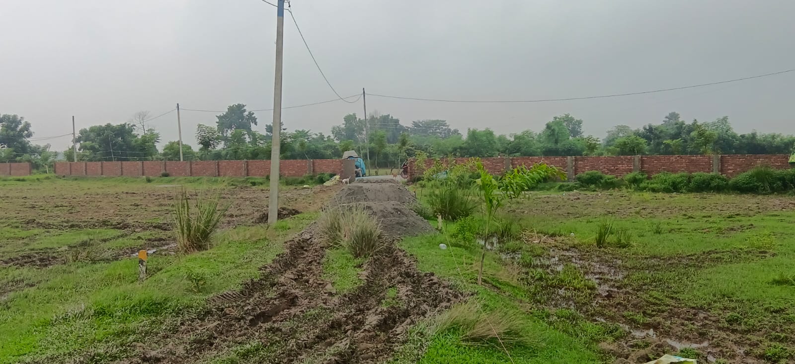 🏡 36,40 में 6.5 बीघा PLOT बिक्री के लिए PN 159 - Image 5