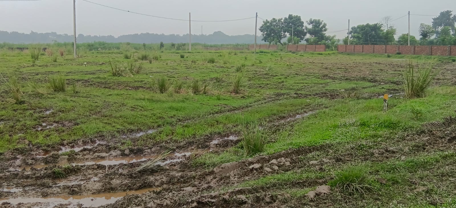 🏡 36,40 में 6.5 बीघा PLOT बिक्री के लिए PN 159 - Image 3
