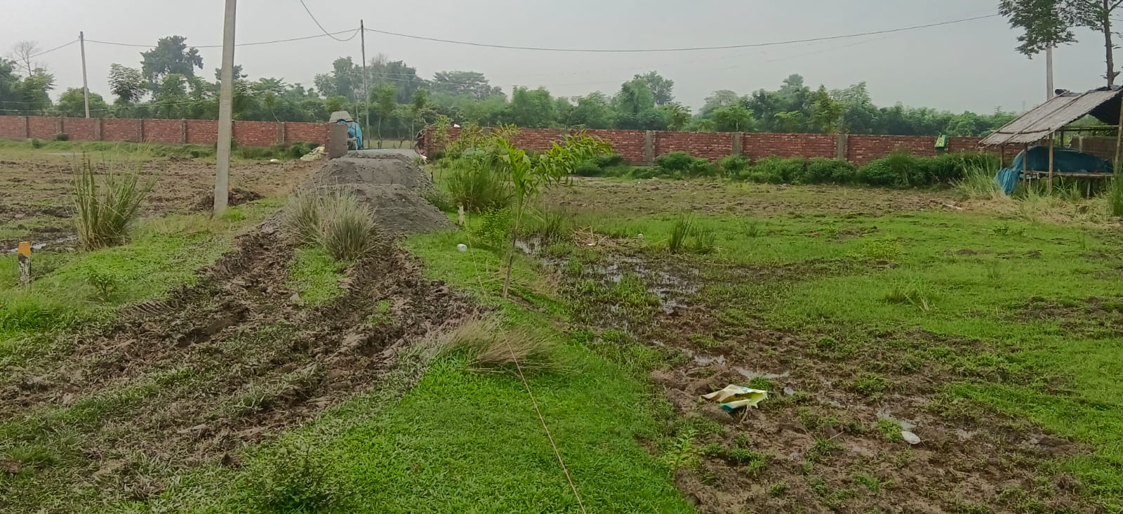 🏡 36,40 में 6.5 बीघा PLOT बिक्री के लिए PN 159 - Image 2