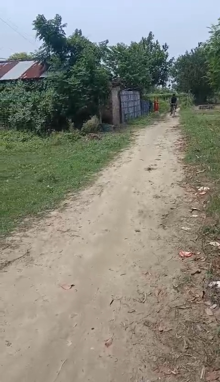 🏡 GARHBANAILI PURNIA में 24 बीघा LAND बिक्री के लिए PN 156 - Image 6