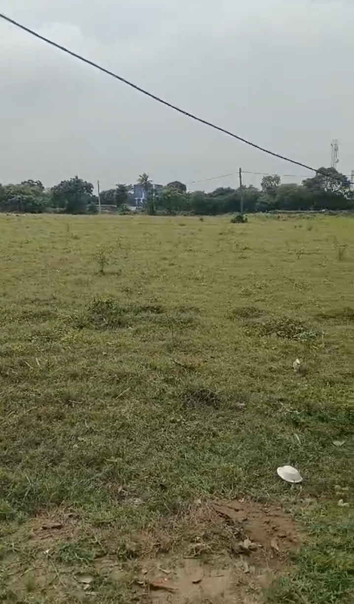 🏡 GARHBANAILI PURNIA में 24 बीघा LAND बिक्री के लिए PN 156 - Image 3