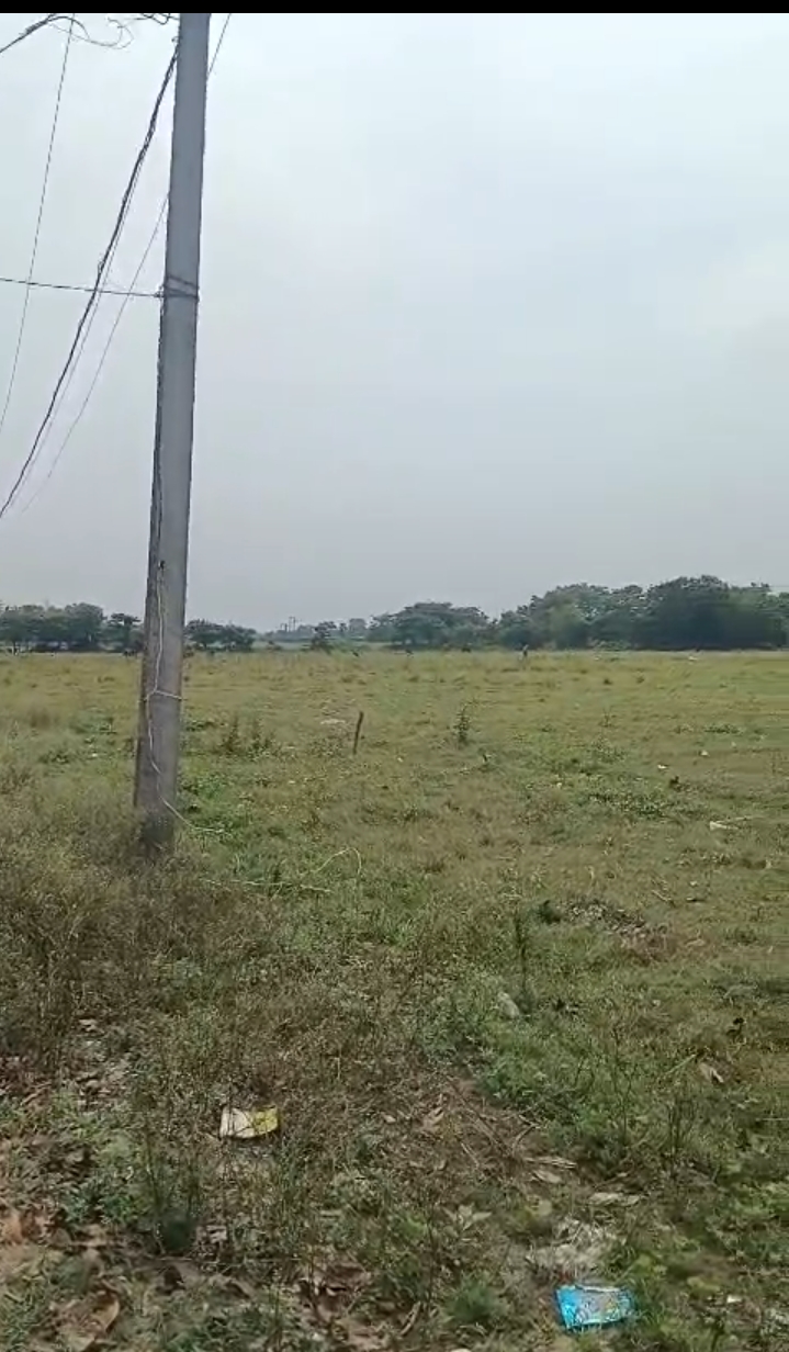 🏡 GARHBANAILI PURNIA में 24 बीघा LAND बिक्री के लिए PN 156 - Image 2