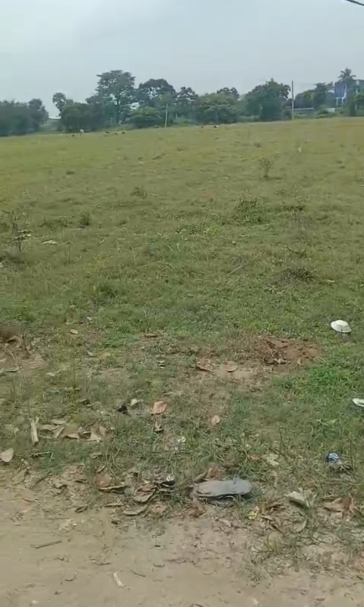 🏡 GARHBANAILI PURNIA में 24 बीघा LAND बिक्री के लिए PN 156 - Image 4