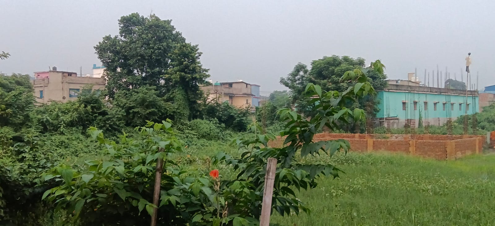 🏡 JANTA CHOWK – CHUNNI CHOWK PURNIA में 5 कट्ठा LAND बिक्री के लिए PN 157 - Image 8