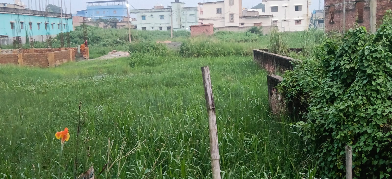 🏡 JANTA CHOWK – CHUNNI CHOWK PURNIA में 5 कट्ठा LAND बिक्री के लिए PN 157 - Image 3