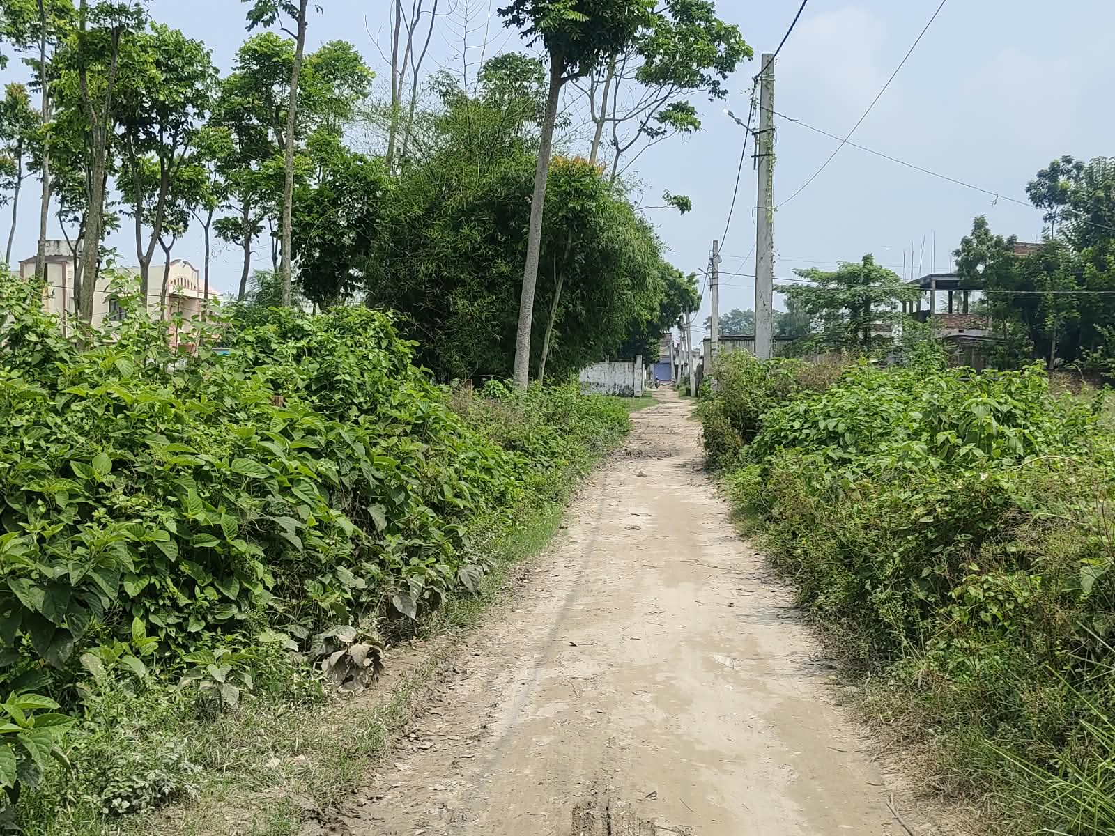 🏡 RAMBAGH – RAM RATNA JI NAGAR में RESIDENTIAL PLOT बिक्री के लिए PN 161 - Image 9