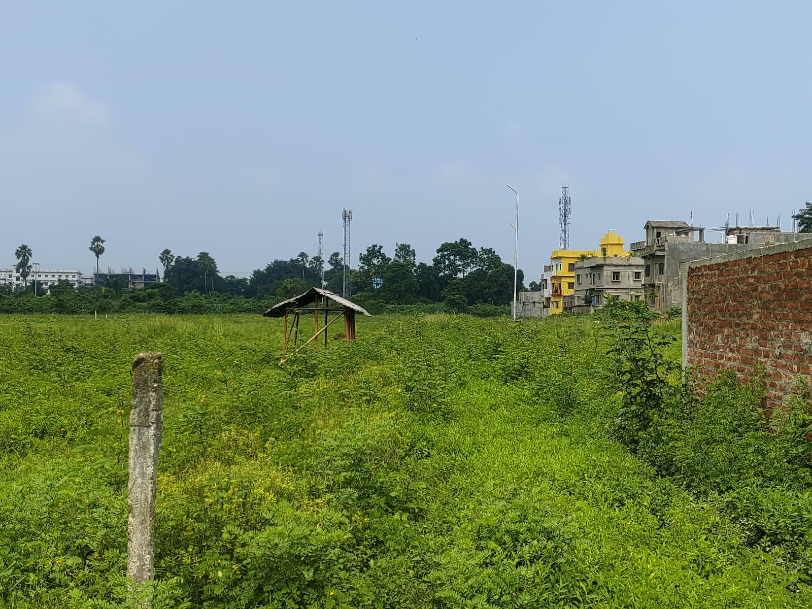 🏡 RAMBAGH – RAM RATNA JI NAGAR में RESIDENTIAL PLOT बिक्री के लिए PN 161 - Image 7