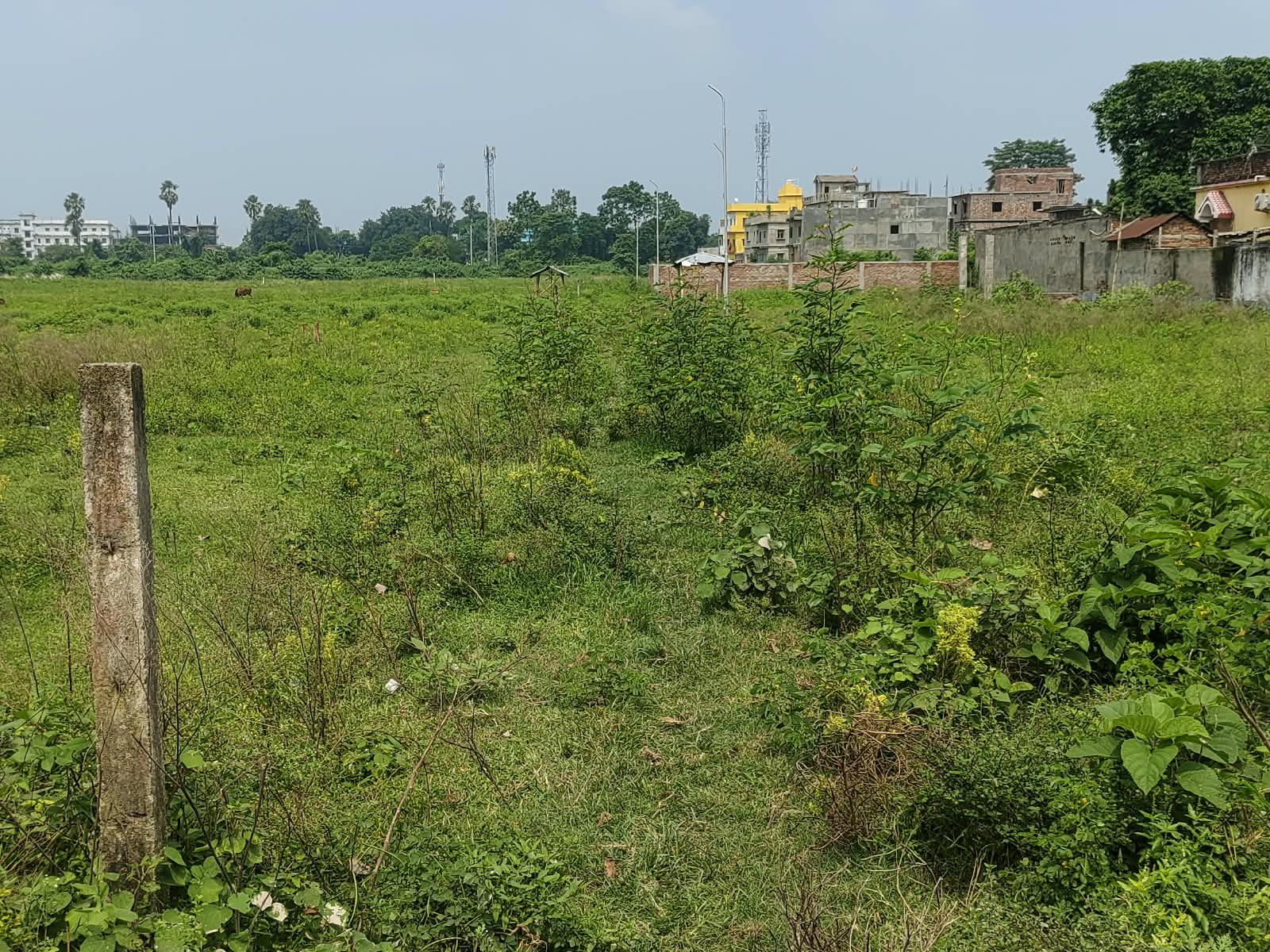 🏡 RAMBAGH – RAM RATNA JI NAGAR में RESIDENTIAL PLOT बिक्री के लिए PN 161 - Image 8