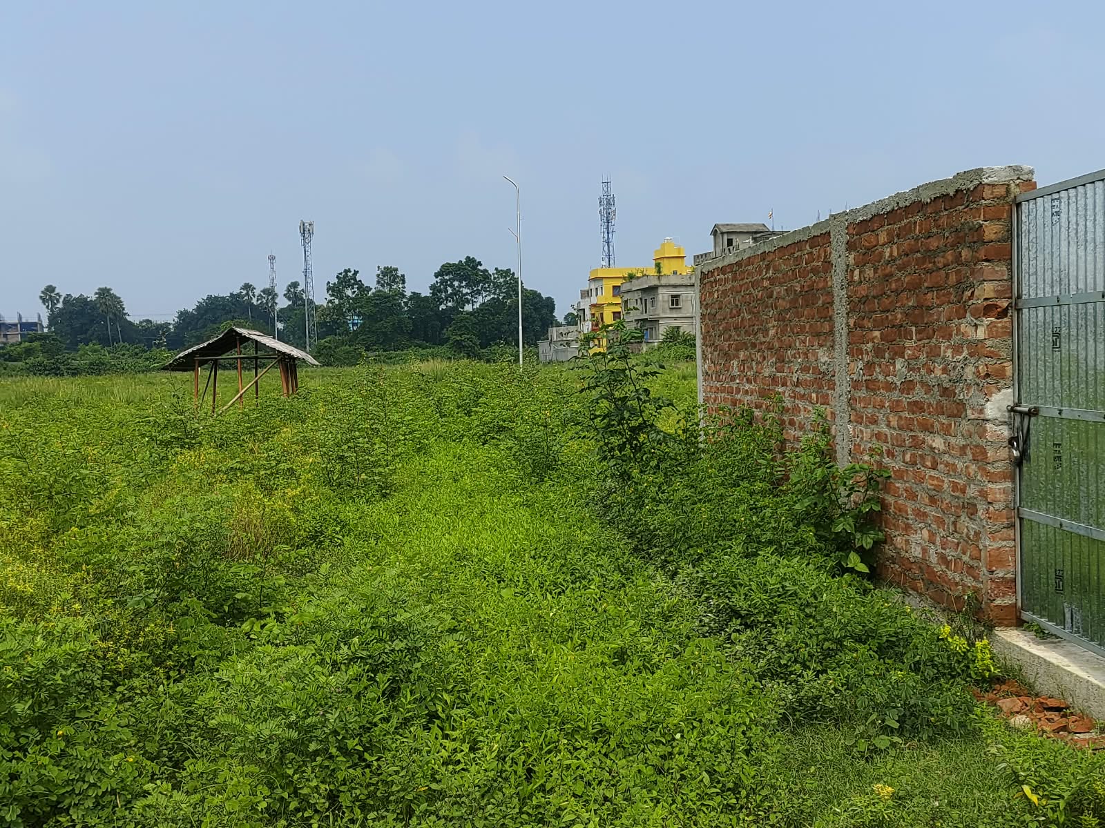🏡 RAMBAGH – RAM RATNA JI NAGAR में RESIDENTIAL PLOT बिक्री के लिए PN 161 - Image 5