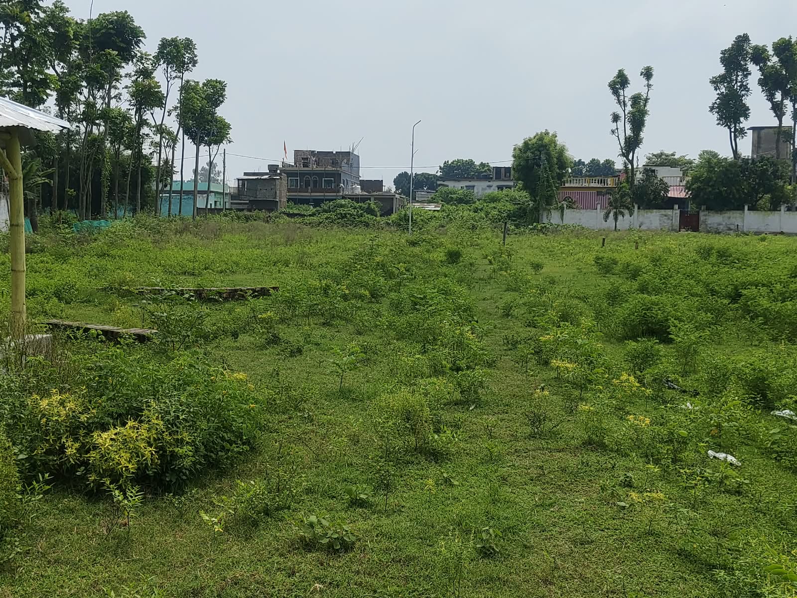 🏡 RAMBAGH – RAM RATNA JI NAGAR में RESIDENTIAL PLOT बिक्री के लिए PN 161 - Image 6
