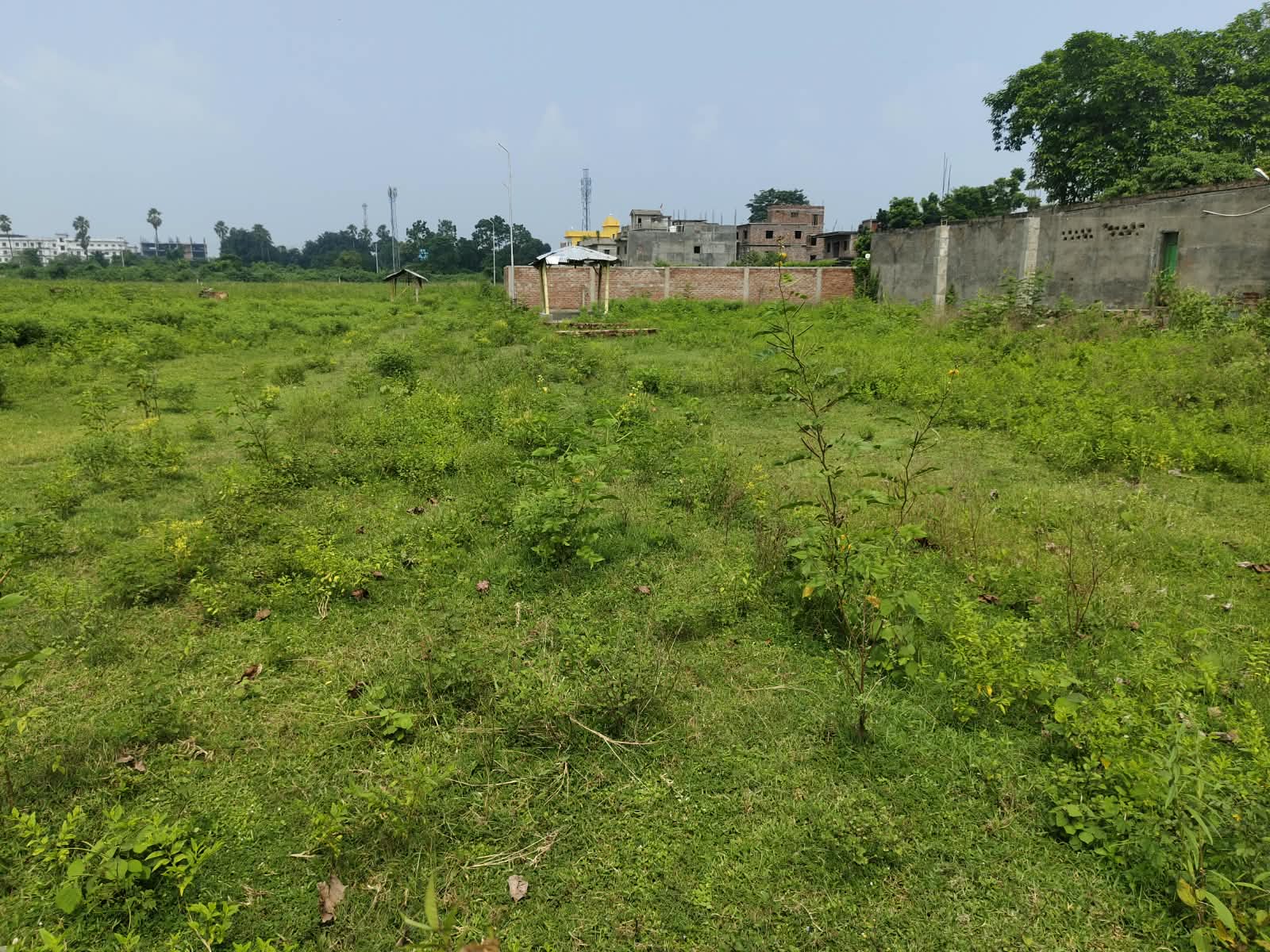 🏡 RAMBAGH – RAM RATNA JI NAGAR में RESIDENTIAL PLOT बिक्री के लिए PN 161 - Image 3