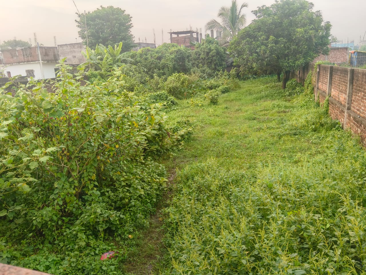 🏡 GUNDA CHOWK में 10 कट्ठा PLOT बिक्री के लिए PN 165 - Image 4