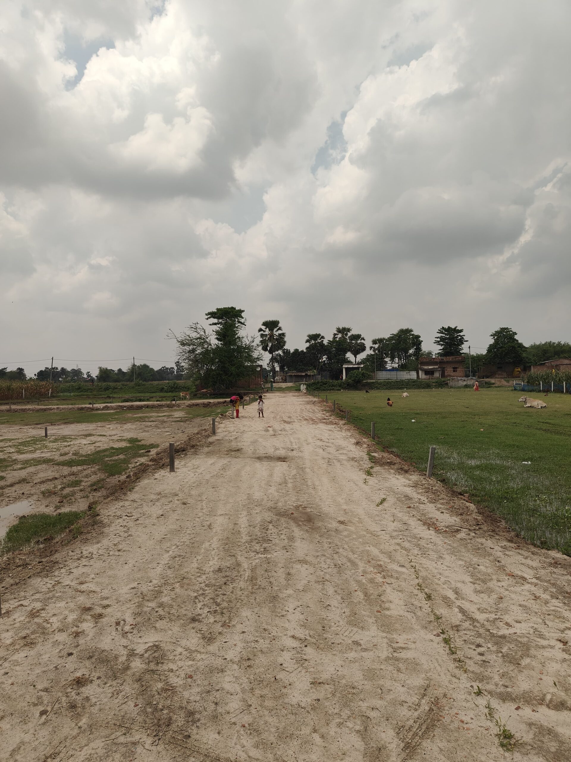 🏡 BIRPUR–LOKHRA PURNIA में 11 कट्ठा 11 धुर LAND बिक्री के लिए PN 166 - Image 2