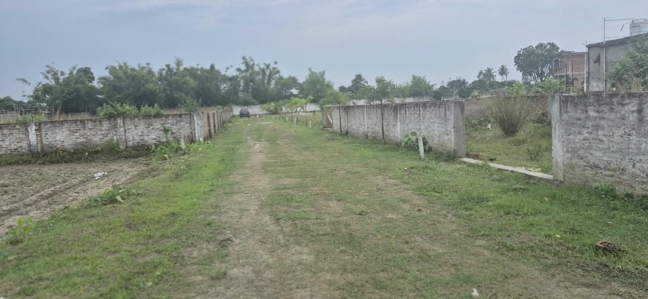 🏡 AAINA MAHAL – GUNDA CHOWK PURNIA में 20 बीघा RESIDENTIAL PLOT बिक्री के लिए PN 169 - Image 13
