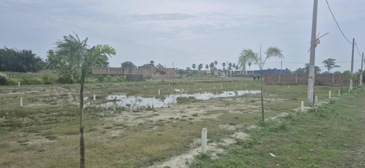 🏡 AAINA MAHAL – GUNDA CHOWK PURNIA में 20 बीघा RESIDENTIAL PLOT बिक्री के लिए PN 169 - Image 11