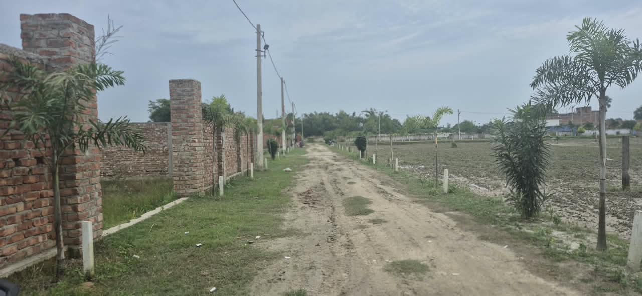 🏡 AAINA MAHAL – GUNDA CHOWK PURNIA में 20 बीघा RESIDENTIAL PLOT बिक्री के लिए PN 169 - Image 9
