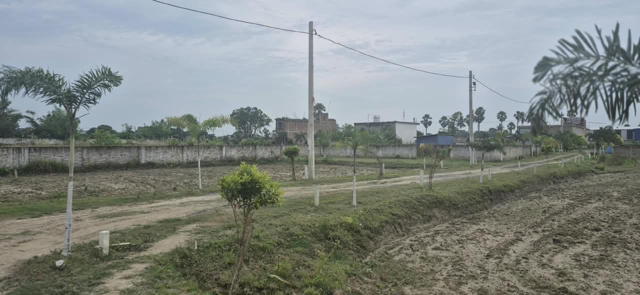 🏡 AAINA MAHAL – GUNDA CHOWK PURNIA में 20 बीघा RESIDENTIAL PLOT बिक्री के लिए PN 169 - Image 6