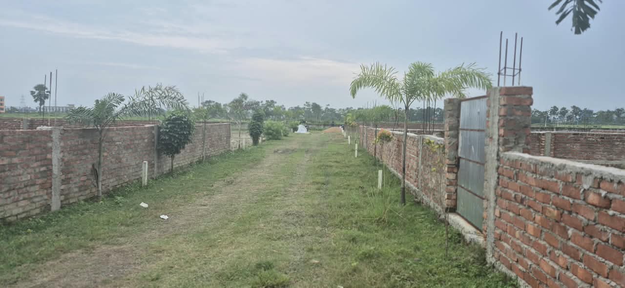 🏡 AAINA MAHAL – GUNDA CHOWK PURNIA में 20 बीघा RESIDENTIAL PLOT बिक्री के लिए PN 169 - Image 5