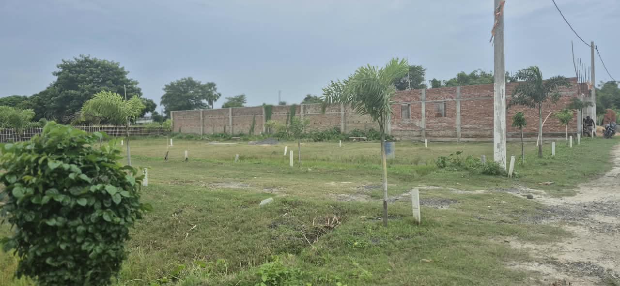 🏡 AAINA MAHAL – GUNDA CHOWK PURNIA में 20 बीघा RESIDENTIAL PLOT बिक्री के लिए PN 169 - Image 3